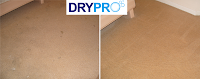 Dry Pro Carpet Cleaning 1055678 Image 9